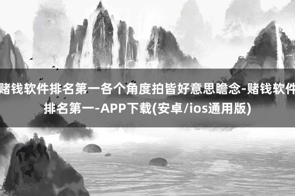 赌钱软件排名第一各个角度拍皆好意思瞻念-赌钱软件排名第一-APP下载(安卓/ios通用版)