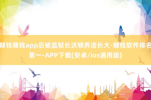 赌钱赚钱app后被监狱长沃顿养活长大-赌钱软件排名第一-APP下载(安卓/ios通用版)