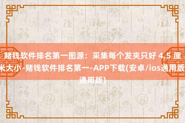 赌钱软件排名第一图源：采集每个发夹只好 4.5 厘米大小-赌钱软件排名第一-APP下载(安卓/ios通用版)